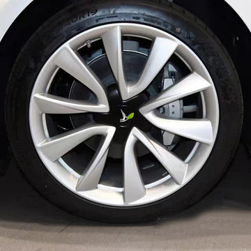 Tesla Model 3 19' Wheels Center Caps  2017-2023