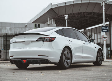 TESERY×CMST Carbon Fiber Side Skirts for Tesla Model 3